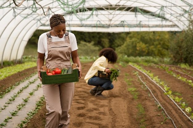 Agricultural Cooperative